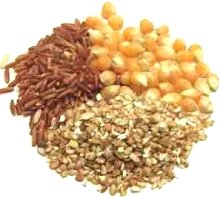 Ricette con cereali, ingredienti e preparazione 